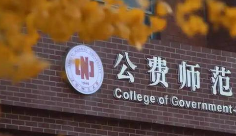 阳阳国际的房子好出租吗?