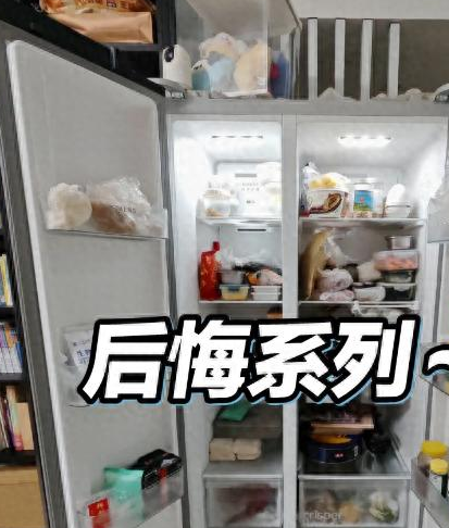 双开门冰箱：从高端标配到逐渐淡出市场，究竟为何
