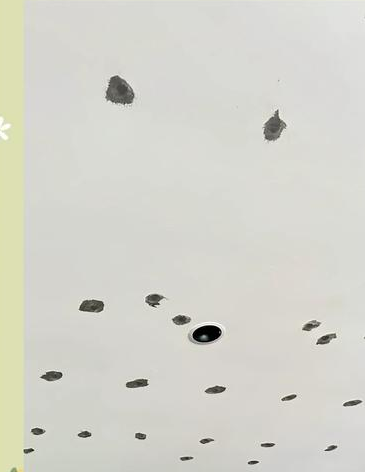装修时屋顶需要做防锈漆吗