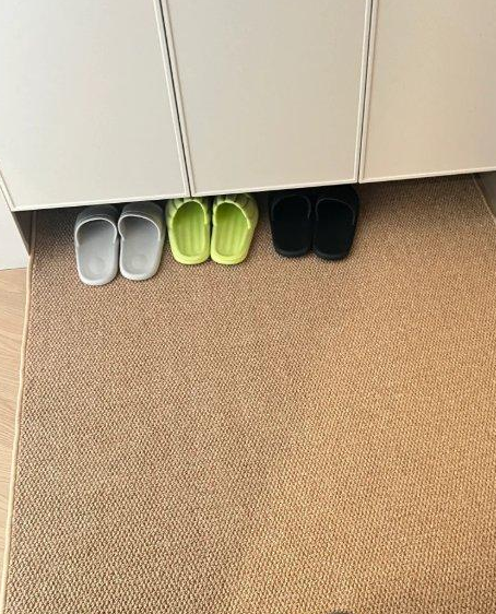 挡卫生间玄关效果图