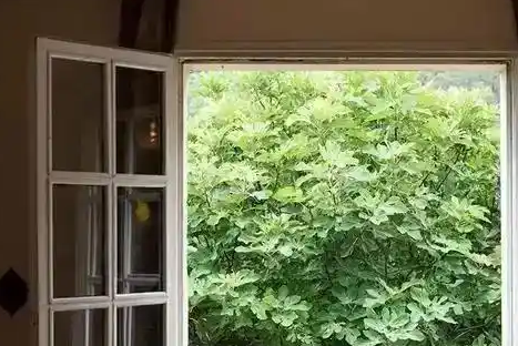 新房装修好后需要通风多久