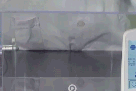 新房装修好后需要通风多久