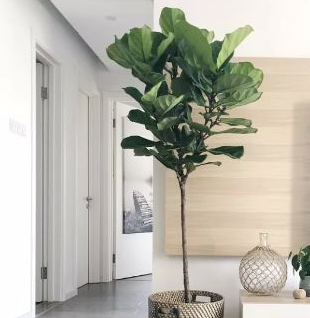 简约装修效果图 背景墙