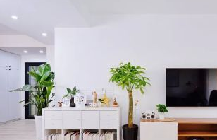 简约装修效果图 背景墙