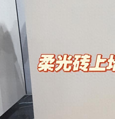 客厅全贴墙砖效果图全屋