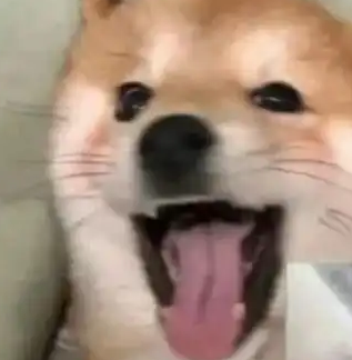 整体衣柜内部设计效果图