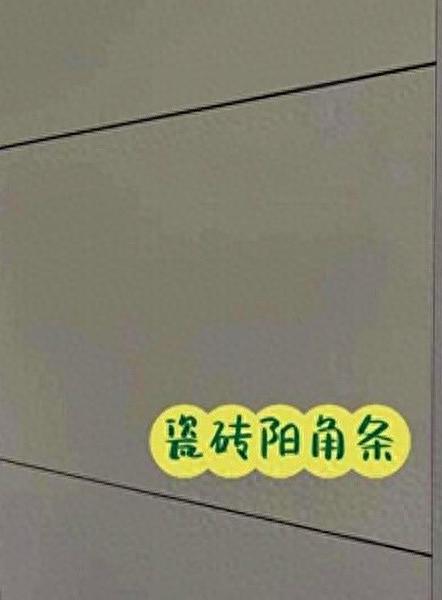 白水泥加胶可以贴砖拿