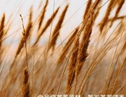 装修选材支妙招-一站式家居服务