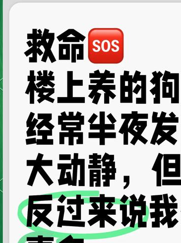 楼下装修噪音扰人，养狗的朋友担心不已，究竟有何影响？