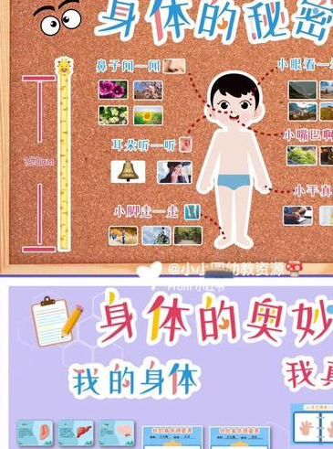 从头动到脚主题墙布置