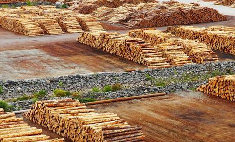 儿童房松木家具效果图