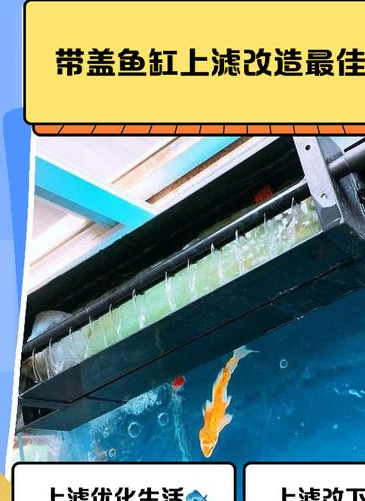 成品鱼缸上滤改造方法