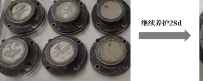 渗透结晶防水涂料 什么时候出现的