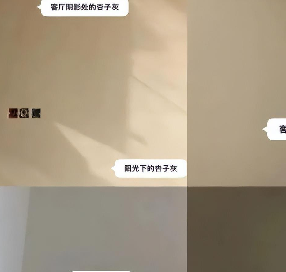 室内墙面涂料颜色效果图