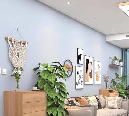 家庭装修用什么油漆好