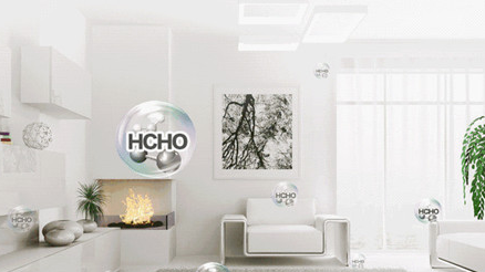 新装修有油漆味用什么去的