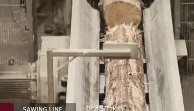 飞美爱格强化地板是进口的吗，飞美旗下爱格地板：认真成就*制造“”