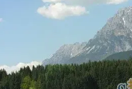 飞美爱格强化地板是进口的吗