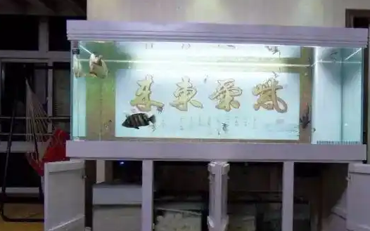大玻璃鱼缸制作方法，打造完美水族箱