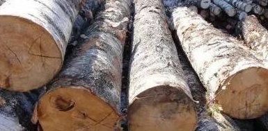 实木床欧式皮床哪个好