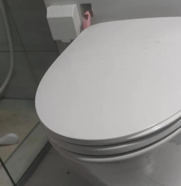 _壁挂马桶什么品牌好，选购全攻略如何挑选最适合的壁挂马桶_壁挂马桶什么品牌好，选购全攻略如何挑选最适合的壁挂马桶