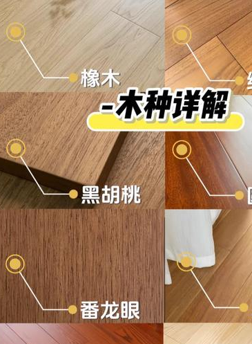 实木地板为何备受青睐又价格偏高?一文详解其特性与成本