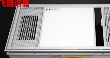 浴霸品牌选择__浴霸品牌哪个好