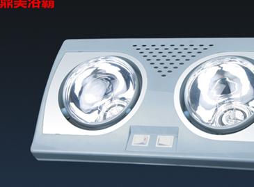 浴霸品牌选择__浴霸品牌哪个好