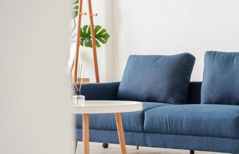 _沙发布艺怎么清洗_布艺沙发的清洁