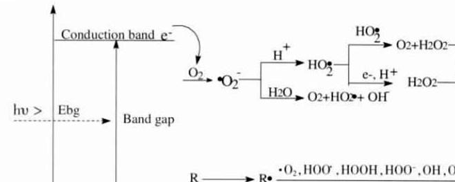 硅藻泥装修效果图 儿童房