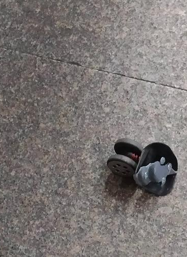 *黑白汽车垄断路面的背后:车轮上的寿司现象,何时迎来色彩*?