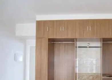 免漆板衣柜效果图