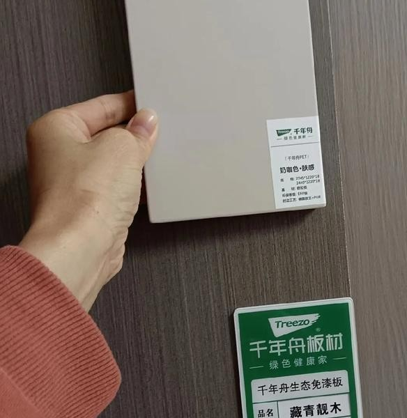 奥松板装修效果图