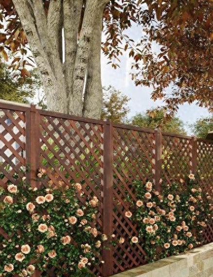 轮胎小院设计效果图