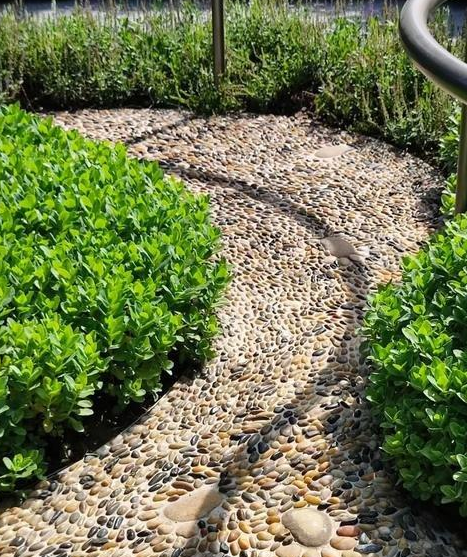 轮胎小院设计效果图