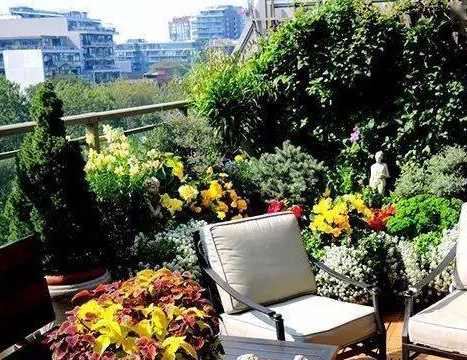 阳台小花园装修效果图