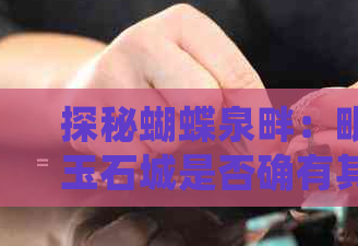 蝴蝶泉家具质量好?