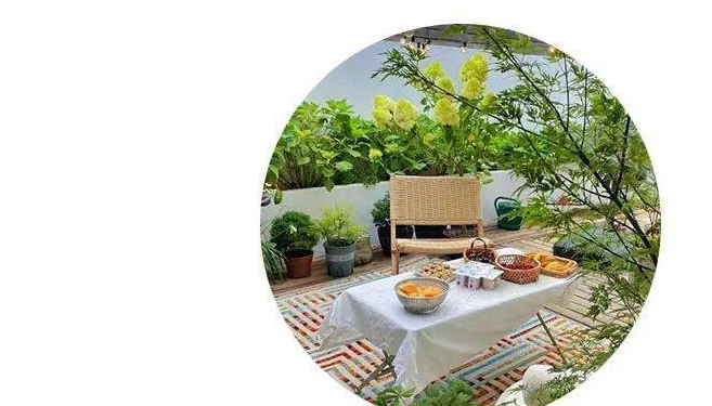 农村自建房装修超好看!猫叔家一楼客厅餐厨一体布局曝光