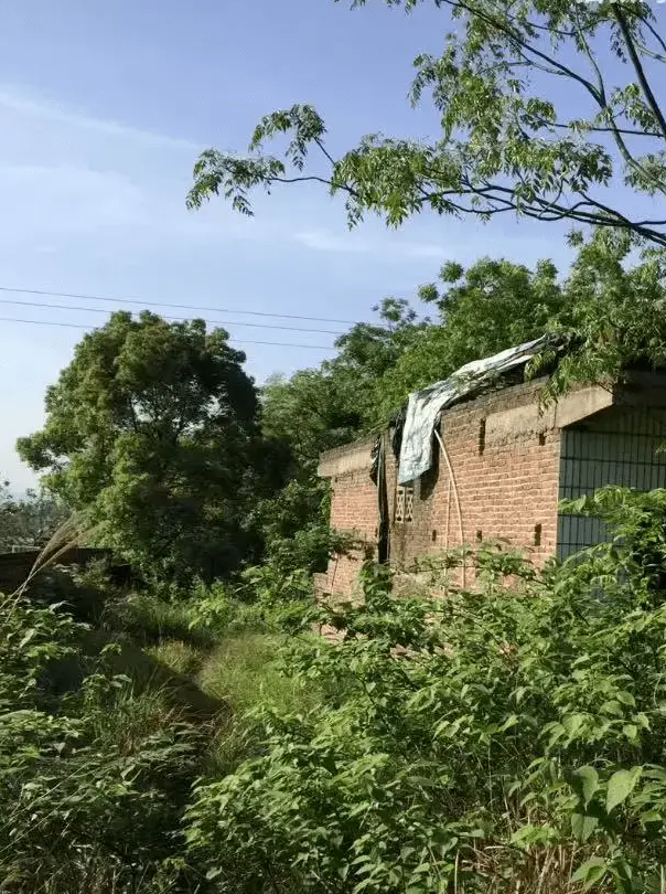 家在东北的地方客厅里阳台装修效果图