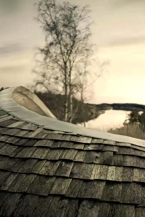 低成本家庭鸡舍设计图