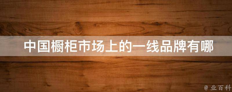  中国橱柜市场上的一线品牌？