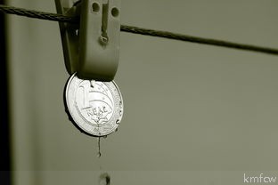  花洒的价格是多少？